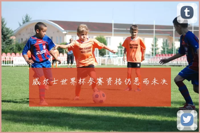 威尔士世界杯参赛资格仍悬而未决