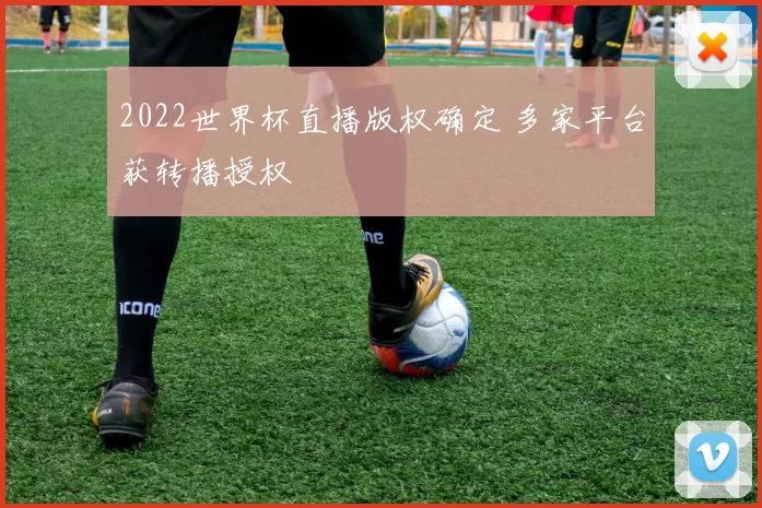 2022世界杯直播版权确定 多家平台获转播授权