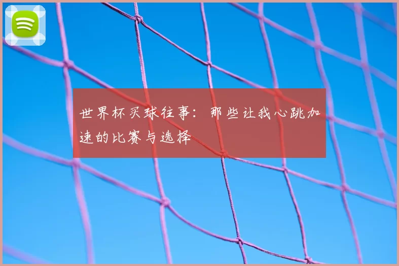 世界杯买球往事：那些让我心跳加速的比赛与选择