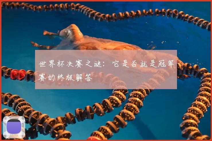 世界杯决赛之谜：它是否就是冠军赛的终极解答