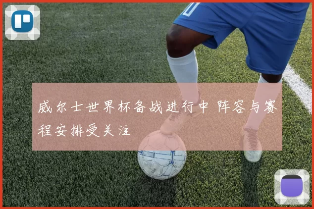威尔士世界杯备战进行中 阵容与赛程安排受关注