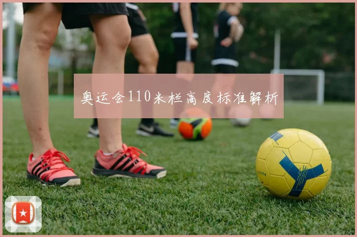 奥运会110米栏高度标准解析