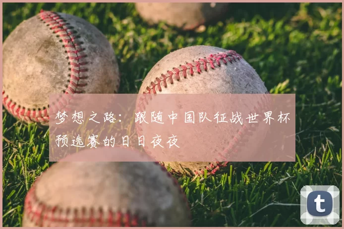 梦想之路：跟随中国队征战世界杯预选赛的日日夜夜