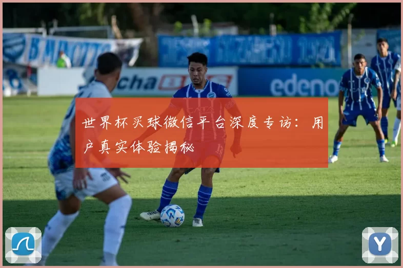 世界杯买球微信平台深度专访：用户真实体验揭秘