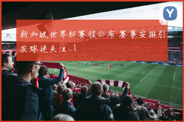 新加坡世界杯赛程公布 赛事安排引发球迷关注_1