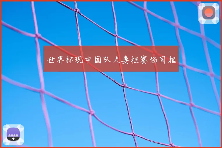 世界杯现中国队夫妻档赛场同框