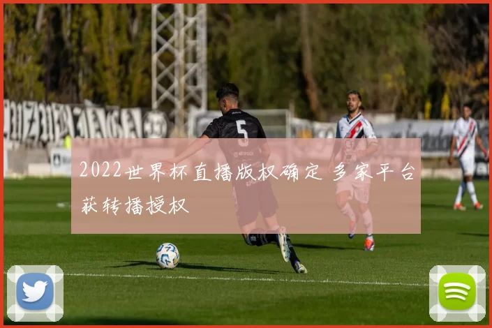 2022世界杯直播版权确定 多家平台获转播授权
