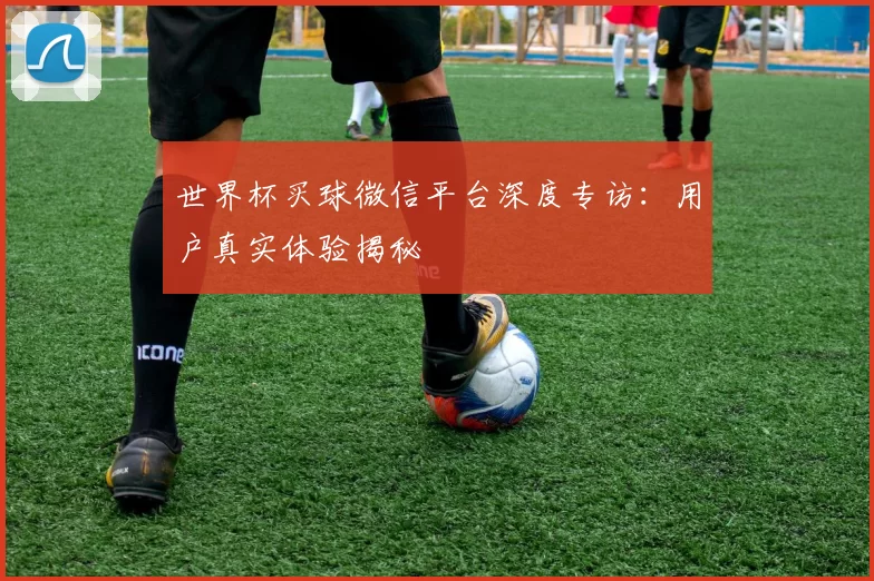 世界杯买球微信平台深度专访：用户真实体验揭秘