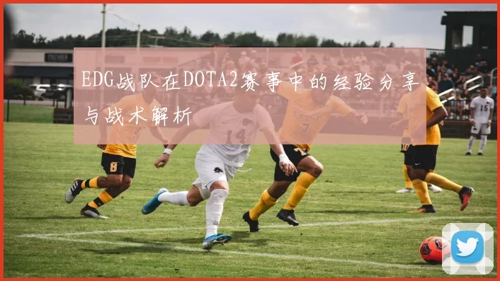 EDG战队在DOTA2赛事中的经验分享与战术解析