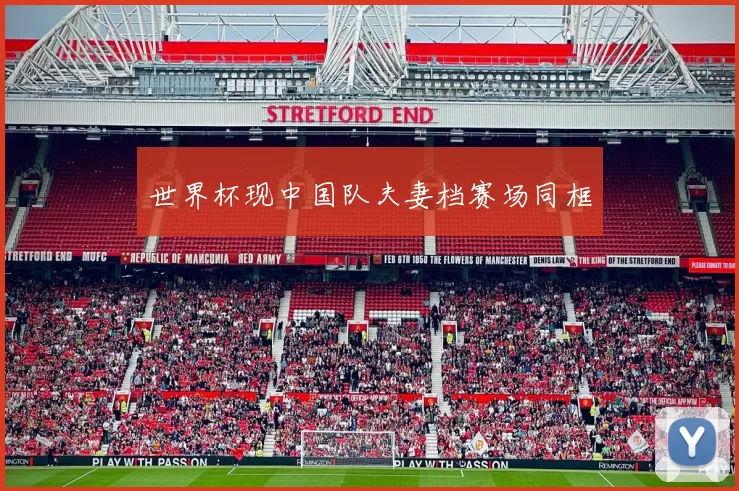 世界杯现中国队夫妻档赛场同框